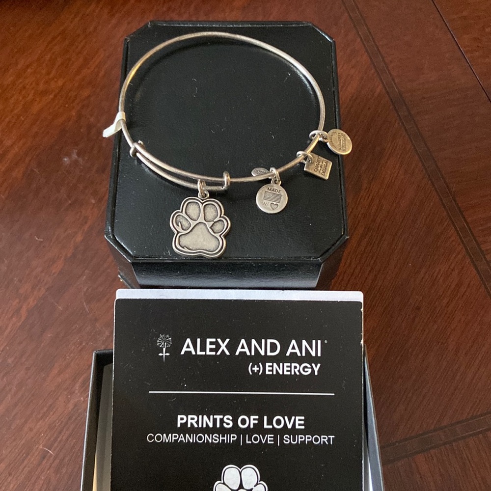 Alex and Ani Bracelet Prints of Love